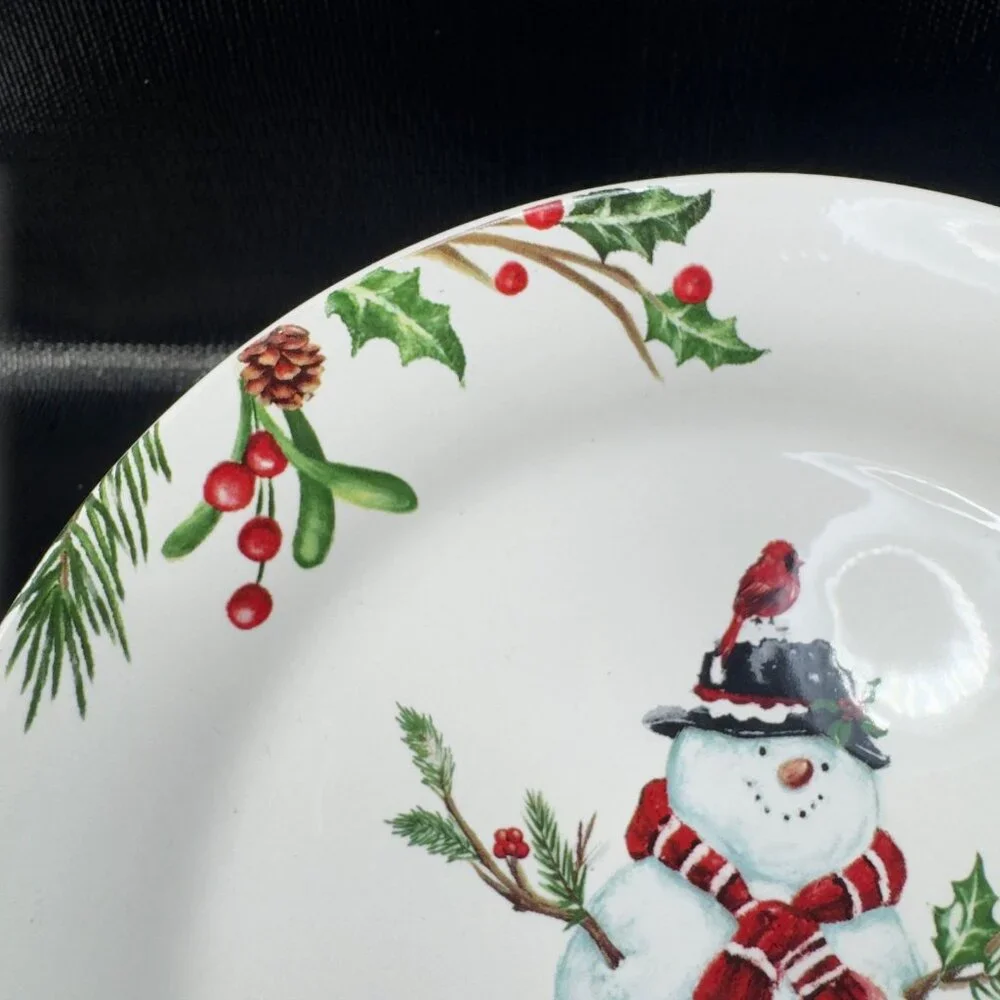 PIER 1 Winter Wonders Ironstone Plate Dish Set 4 Snowman Penguin Christmas 9inch